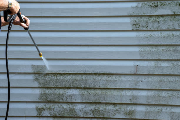 Best Siding Painting and Refinishing  in Franklin, LA
