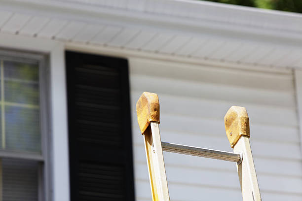 Best Steel Siding Installation  in Franklin, LA