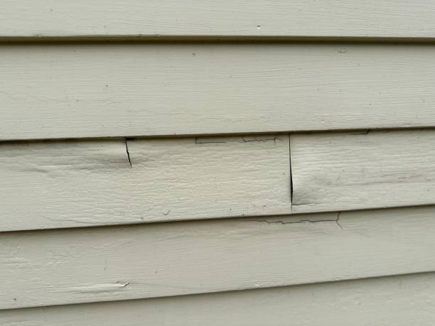 Best Siding Removal and Disposal  in Franklin, LA